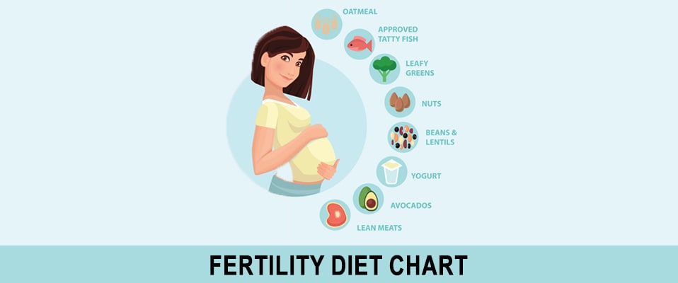 Diet For Female Fertility Diet And Tips Can Be Helpful For Female Fertility 4465